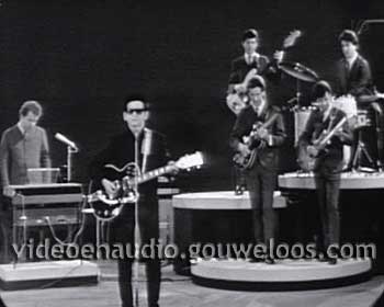 Combo (19650424) - Roy Orbison 02.jpg