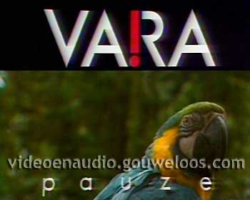 VARA - Pauze Papagaai (19840221).jpg